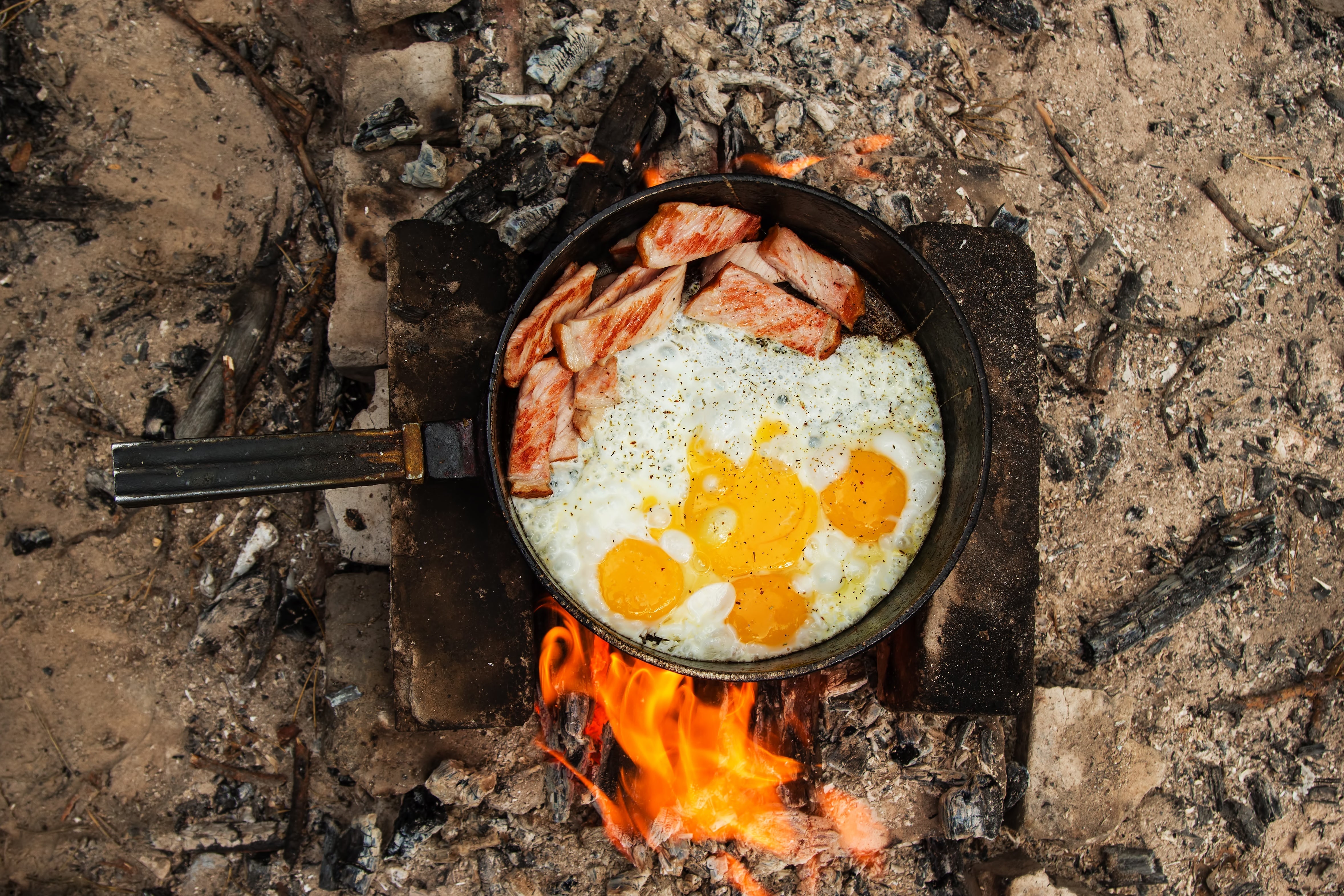 Food, Fuel & Energy