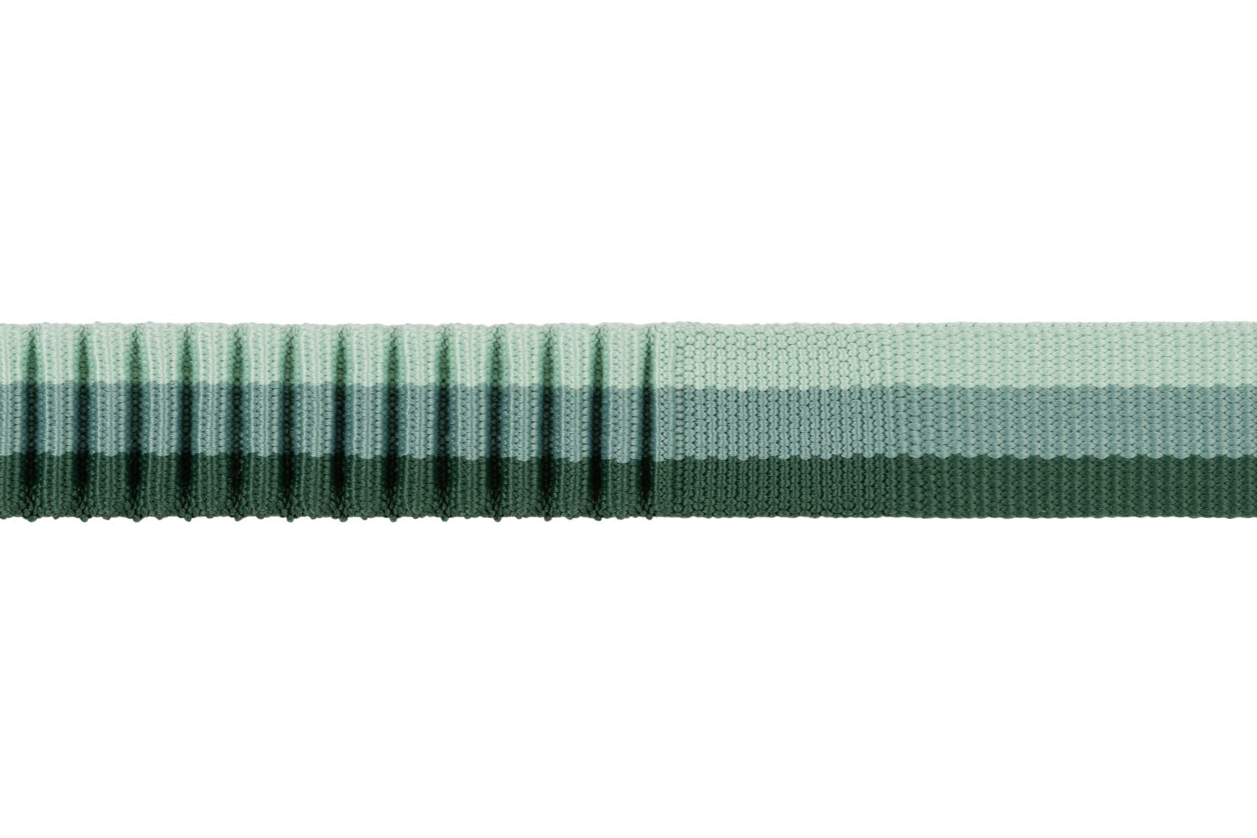 ROAMER™ LEASH