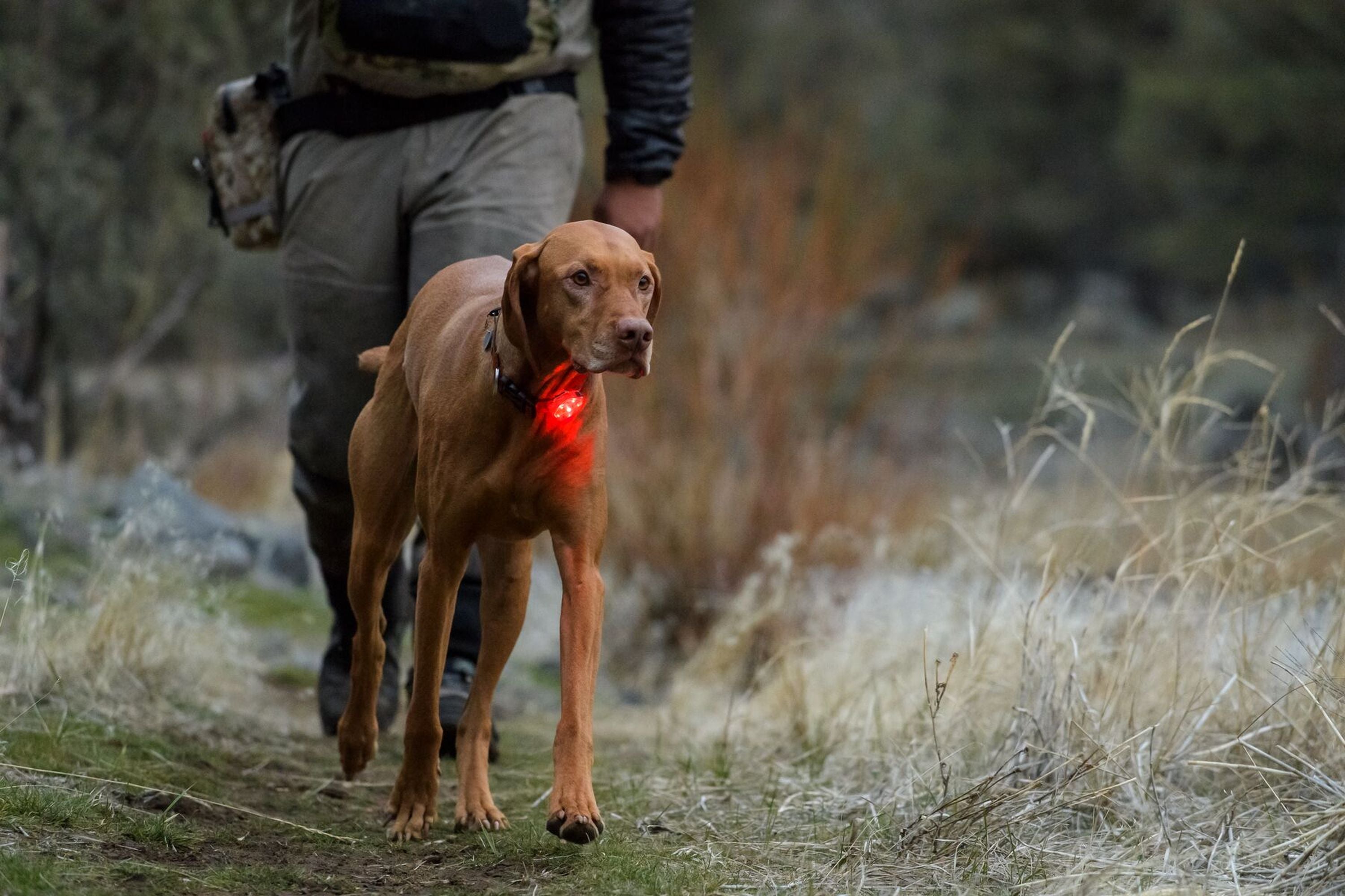 THE BEACON™ SAFETY LIGHT