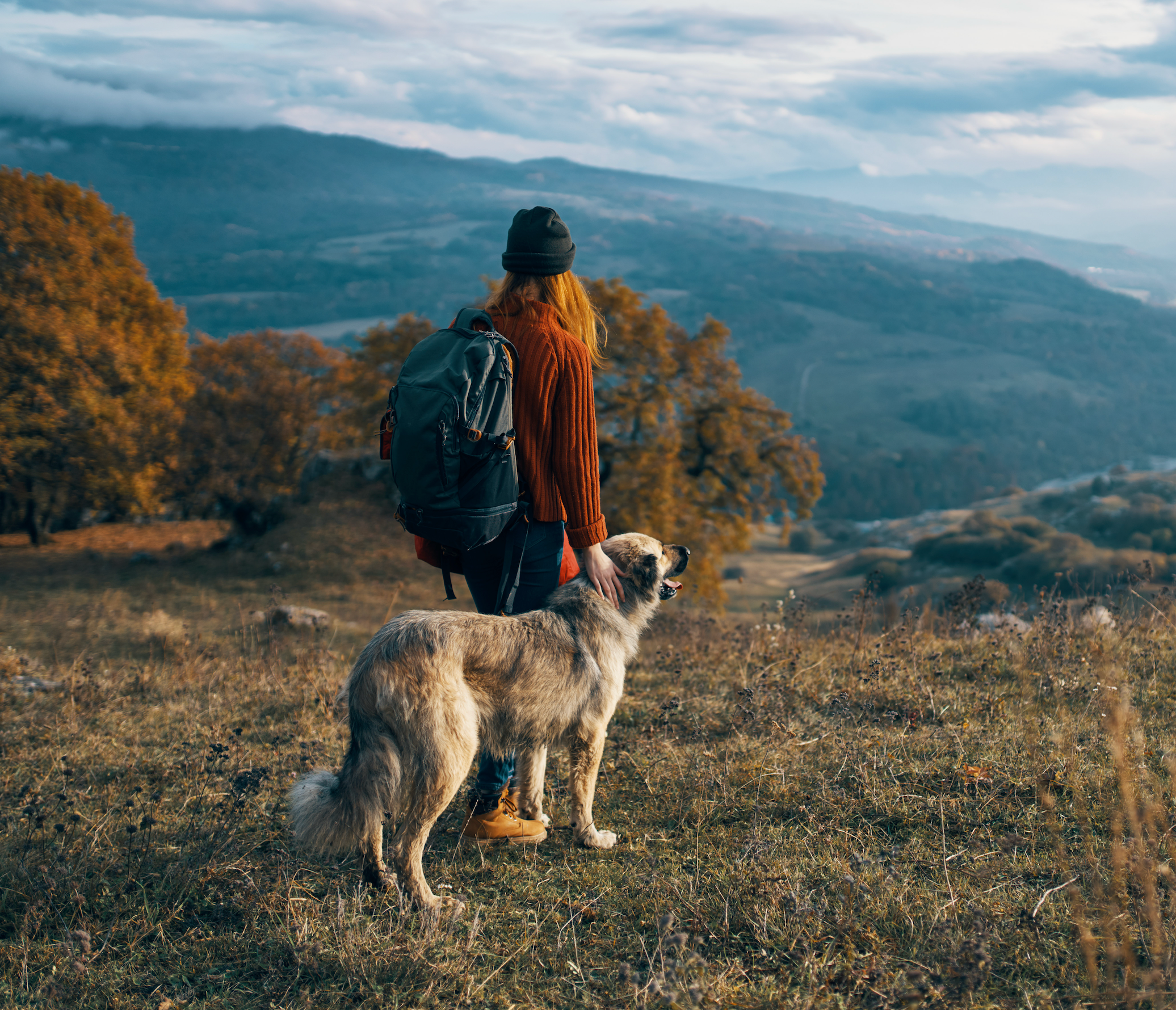 Packs & Bags