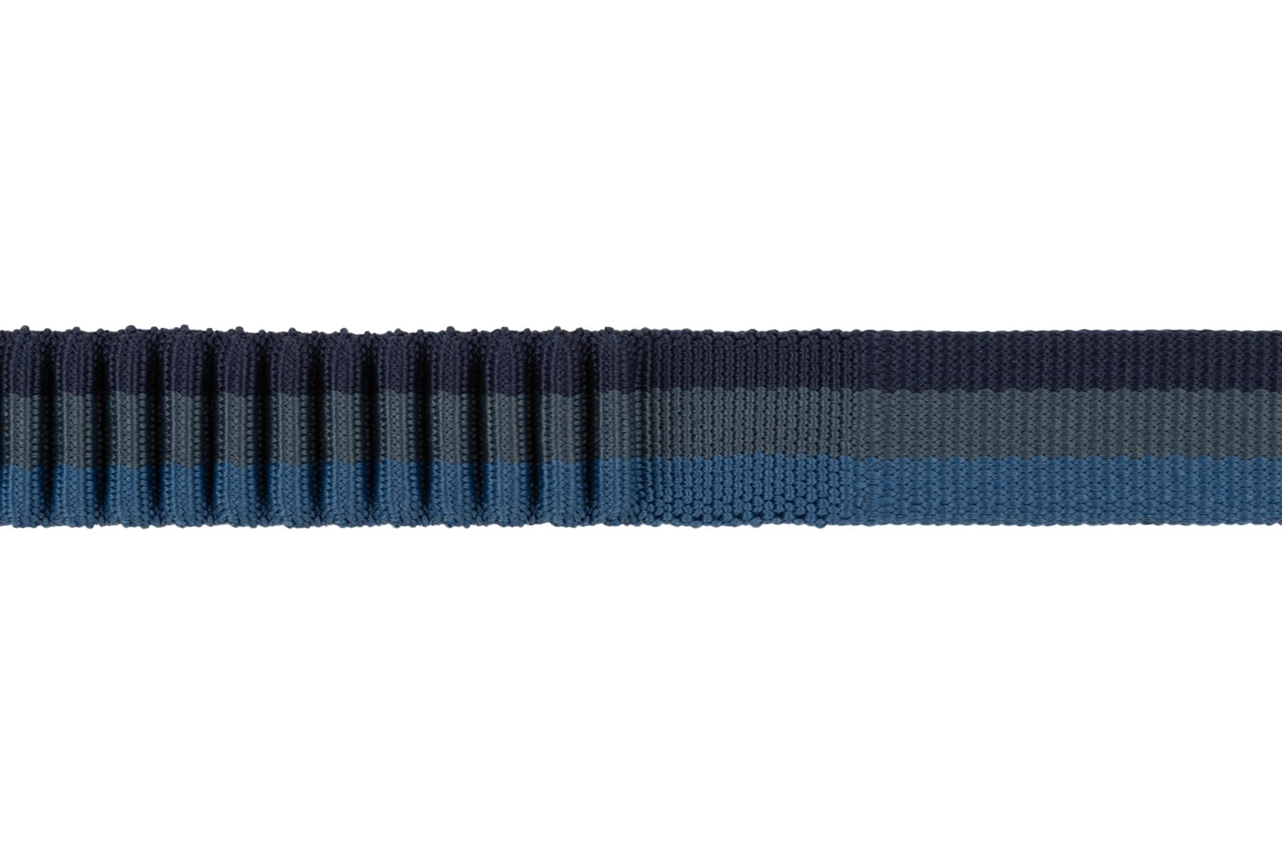 ROAMER™ LEASH